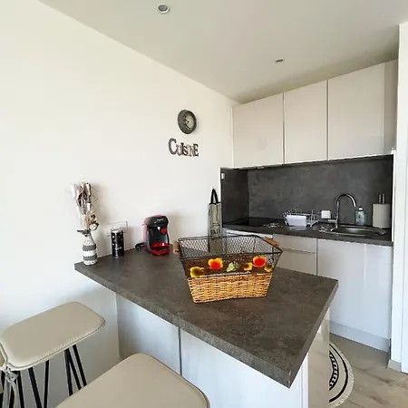 14380 Studio Neuf En Dernier Etage En Centre-Ville Apartment Mandelieu